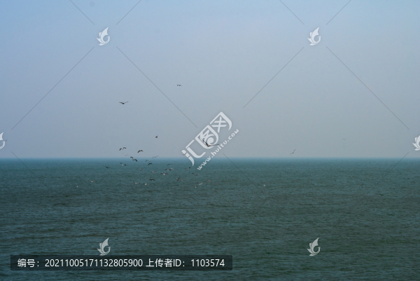 東營孤島濕地拍鳥