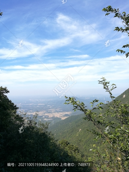 美麗景色
