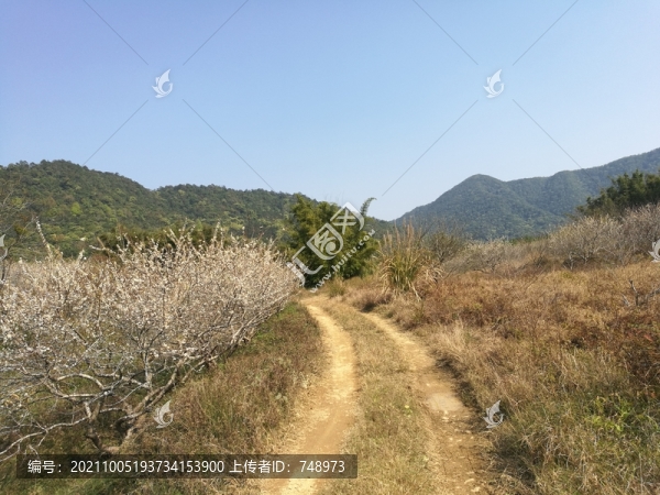 美麗景色