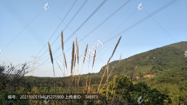 美麗景色