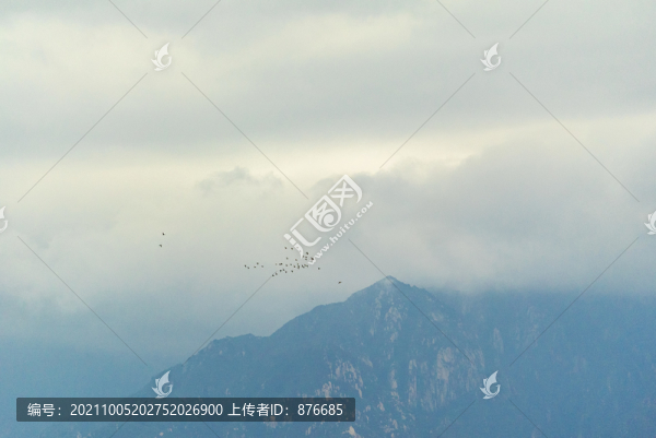 郊野