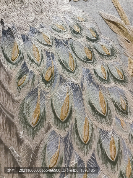 刺繡圖案孔雀羽毛紋理