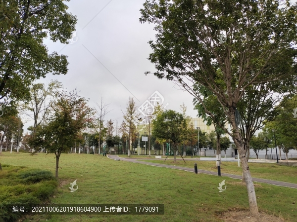 公園
