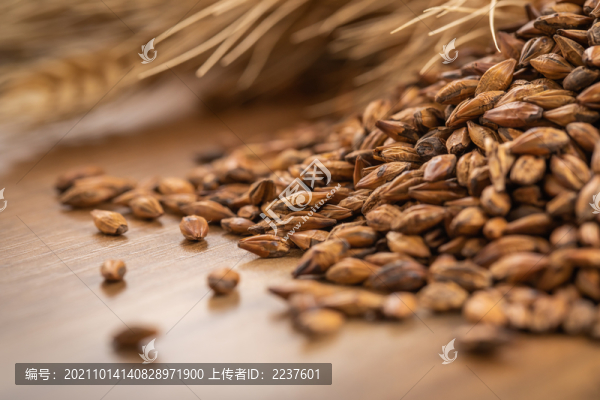 傳統(tǒng)茶飲大麥茶