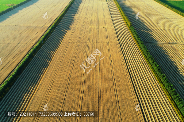 航拍呼倫貝爾墾區(qū)秋季田園風(fēng)光