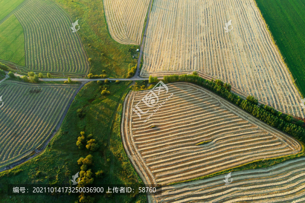航拍呼倫貝爾墾區(qū)秋季田園風(fēng)光
