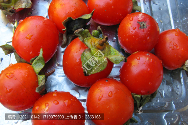 紅柿子