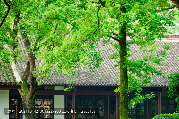 岳麓書院庭院