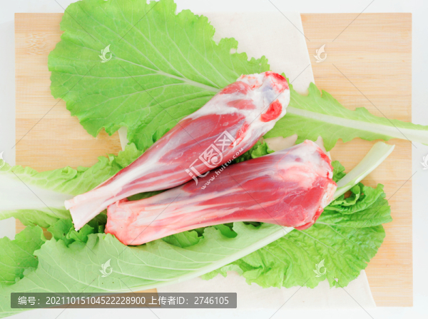 前后小腿腱