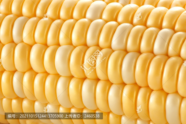 生鮮玉米顆粒特寫