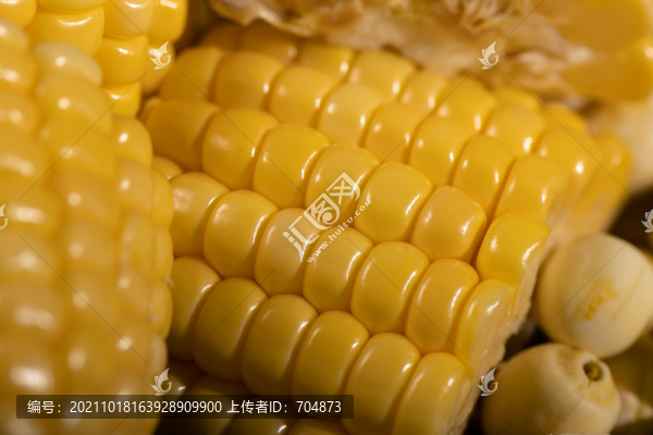 玉米