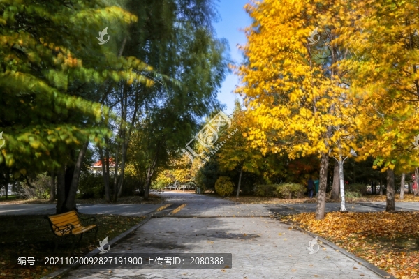 公園秋景