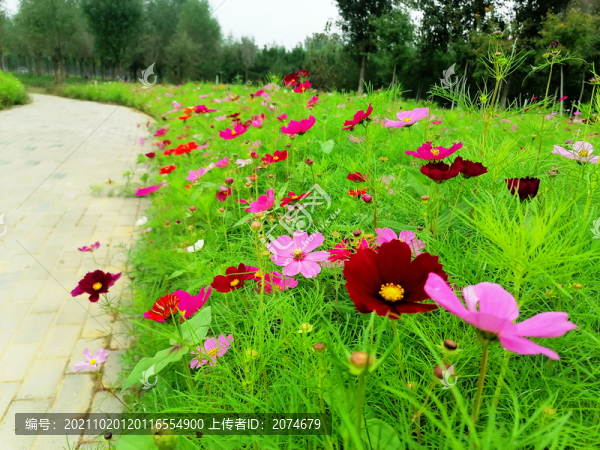 格?；? title=