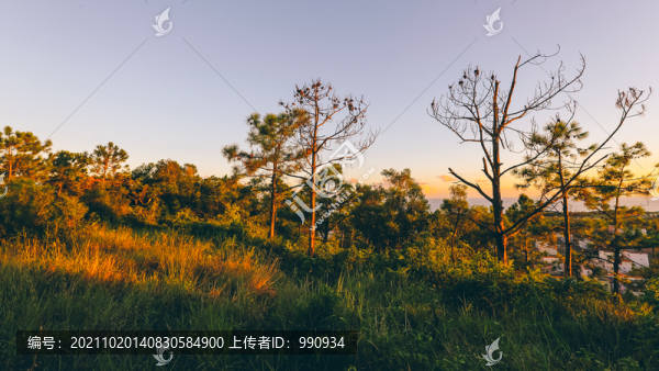 夕陽