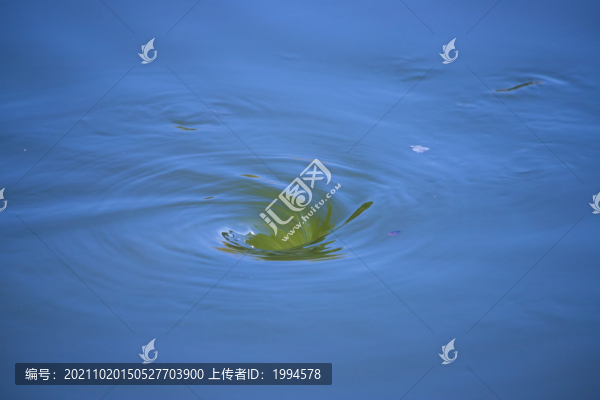 水窩