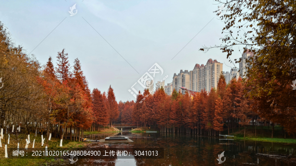 城市秋色