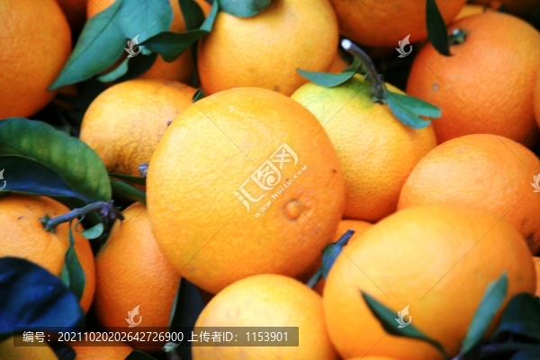 愛媛