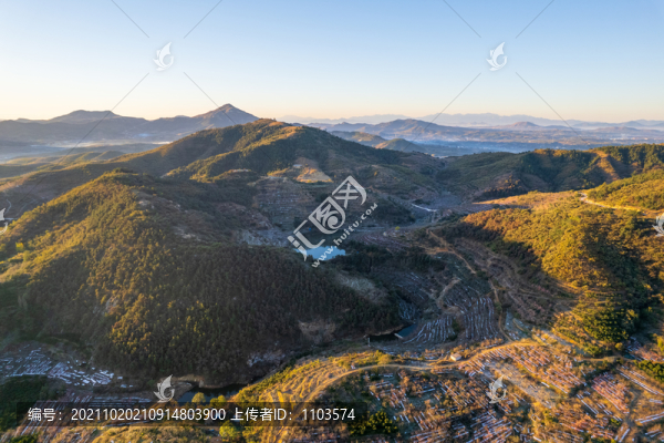 航拍沂蒙山區(qū)漫山遍野的果園