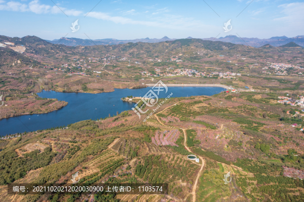 航拍沂蒙山區(qū)漫山遍野的果園