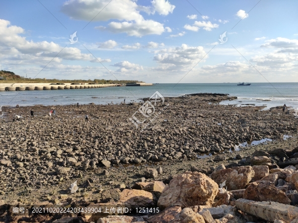 海灘石灘趕海