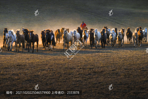 烏蘭布統(tǒng)