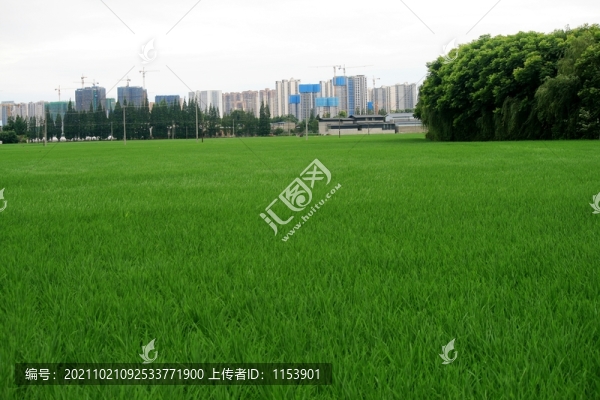 城鄉(xiāng)接合部