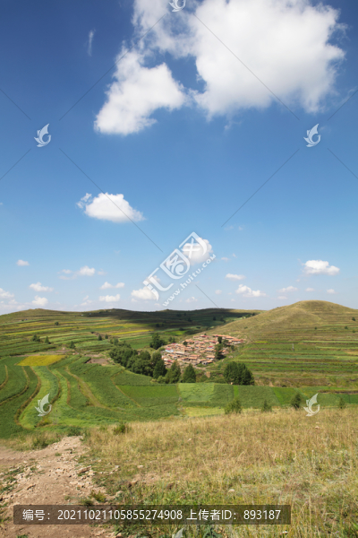 中國(guó)張北縣夏季美麗的草原風(fēng)光