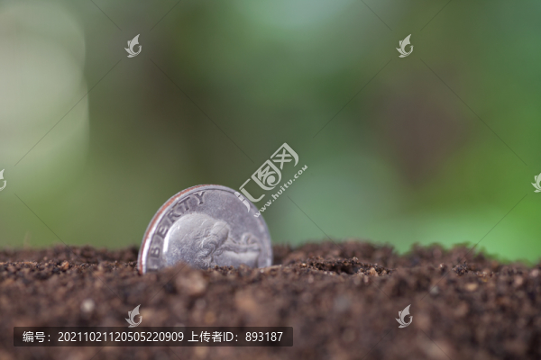土壤里一枚美元硬幣
