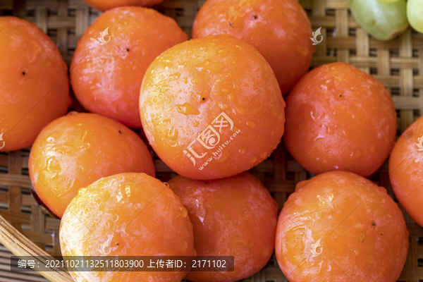 柿子