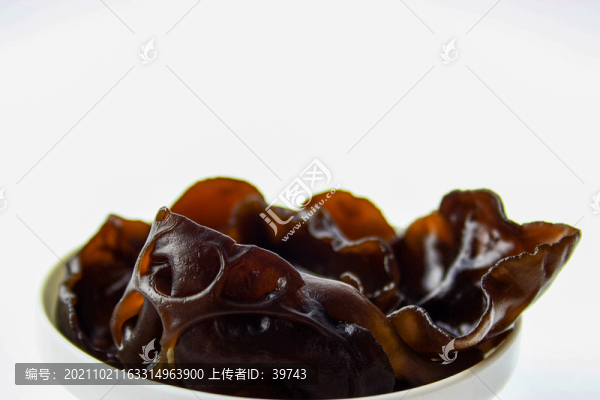 東北黑木耳