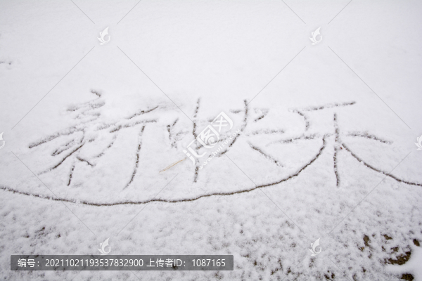 雪地新年祝愿