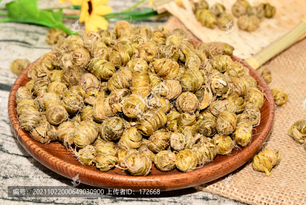 鐵皮石斛