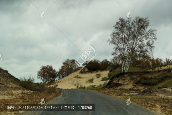 風(fēng)景