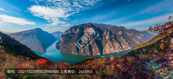 三峽紅葉似彩霞