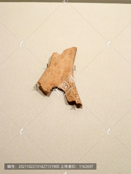 商代武丁甲骨文