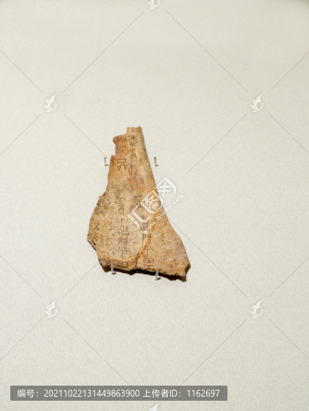 商武丁甲骨文
