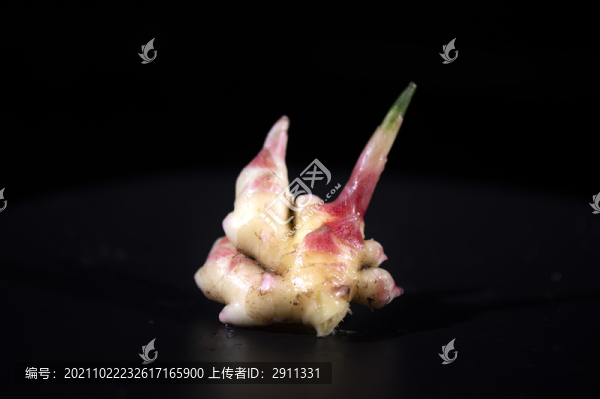 鮮生姜特寫