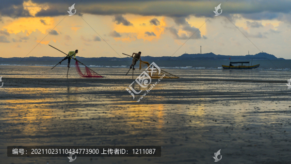 趕海