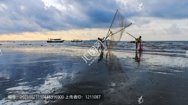 趕海