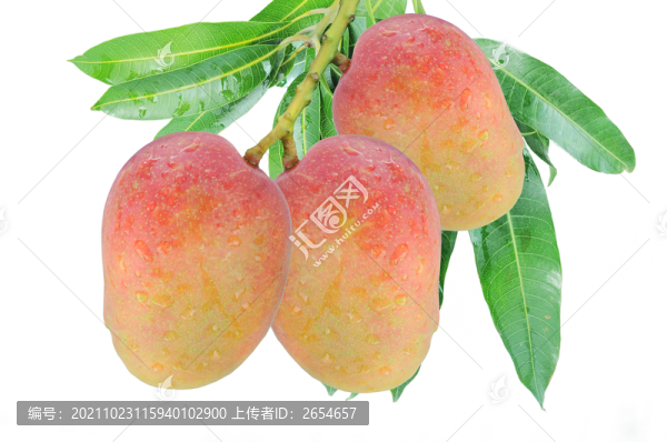 芒果設(shè)計(jì)圖