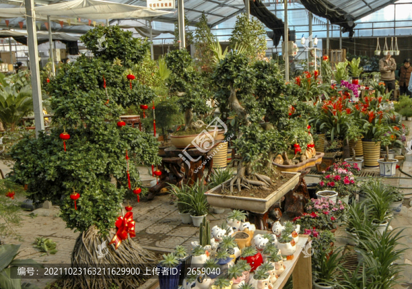 花卉市場