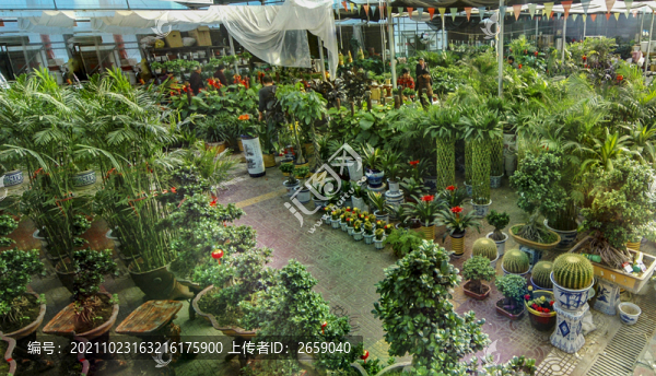 花卉市場