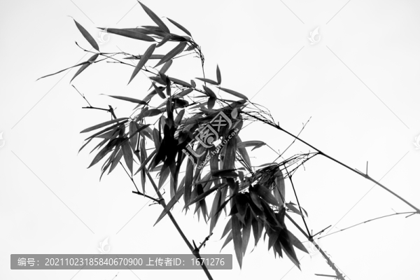 水墨竹葉