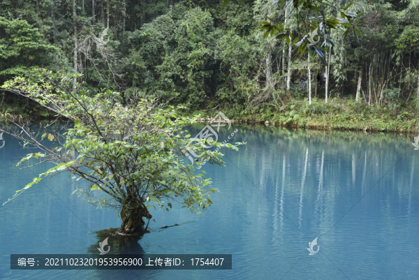 荔波風光