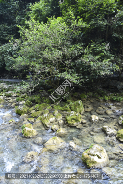 山澗溪流