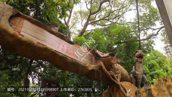 深圳求水山公園尋龍谷