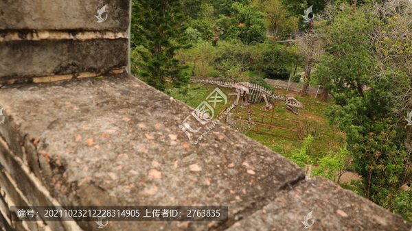 恐龍骨架深圳求水山公園