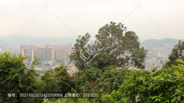 深圳南灣街道南嶺村風(fēng)光