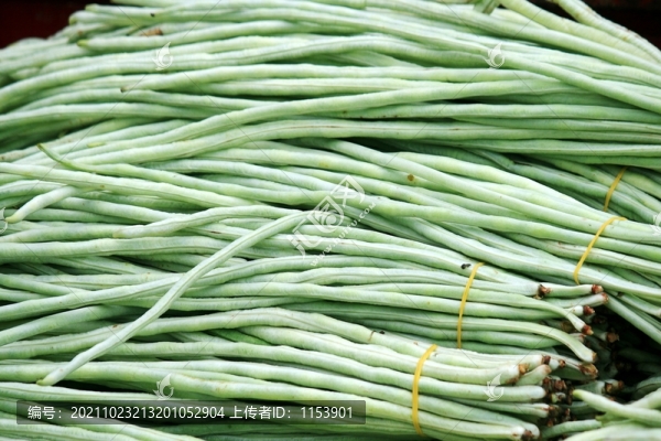 豇豆