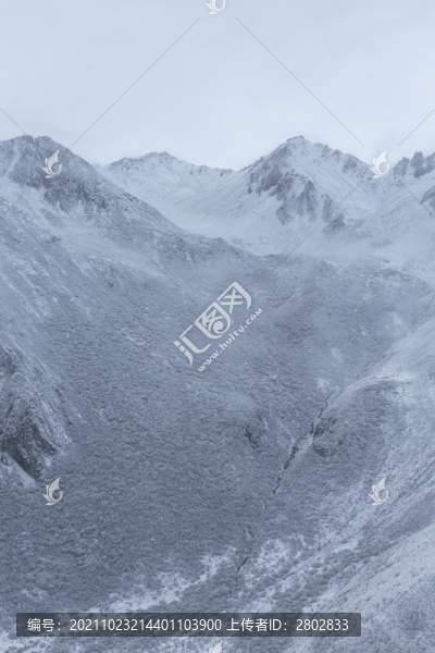 高原雪山下雪風(fēng)景